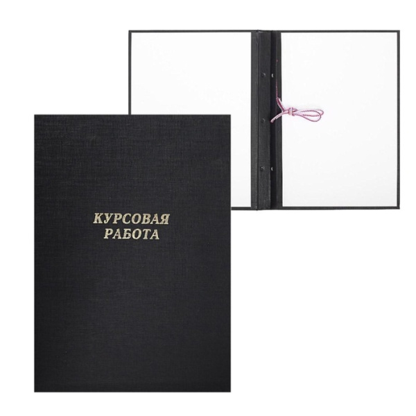 Папка для курсовых работ ченые (без бумаги)/10КР01ч(24)