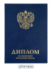 Папка Адресная Диплом об окончании начальной школы, (А7, 12х17 см)